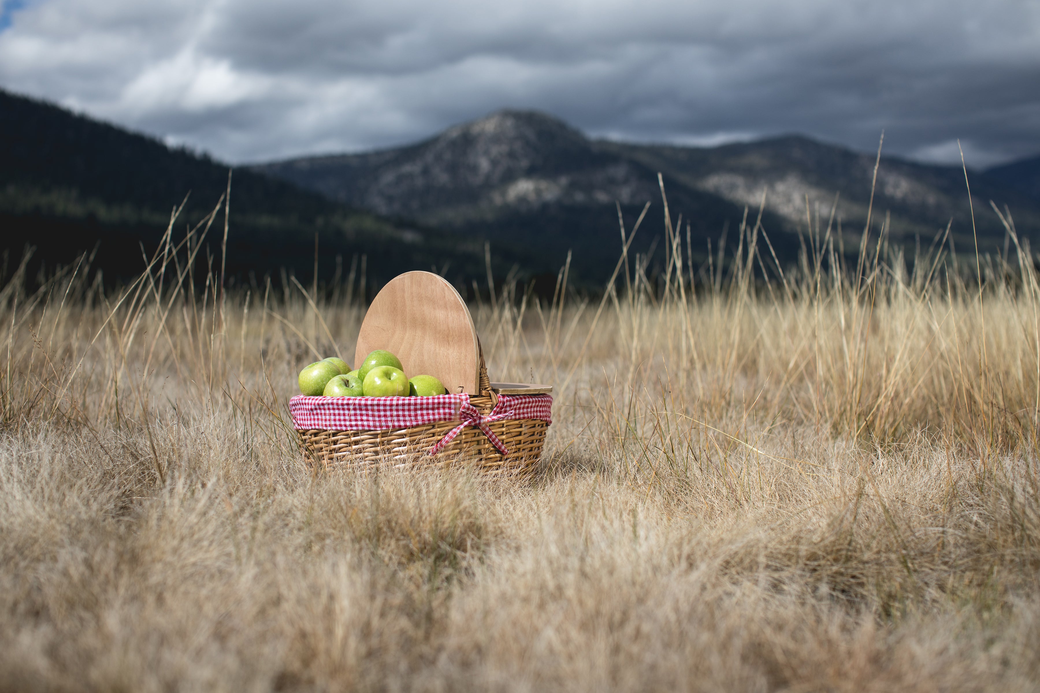 Country Picnic Basket-Picnic Time Family of Brands
