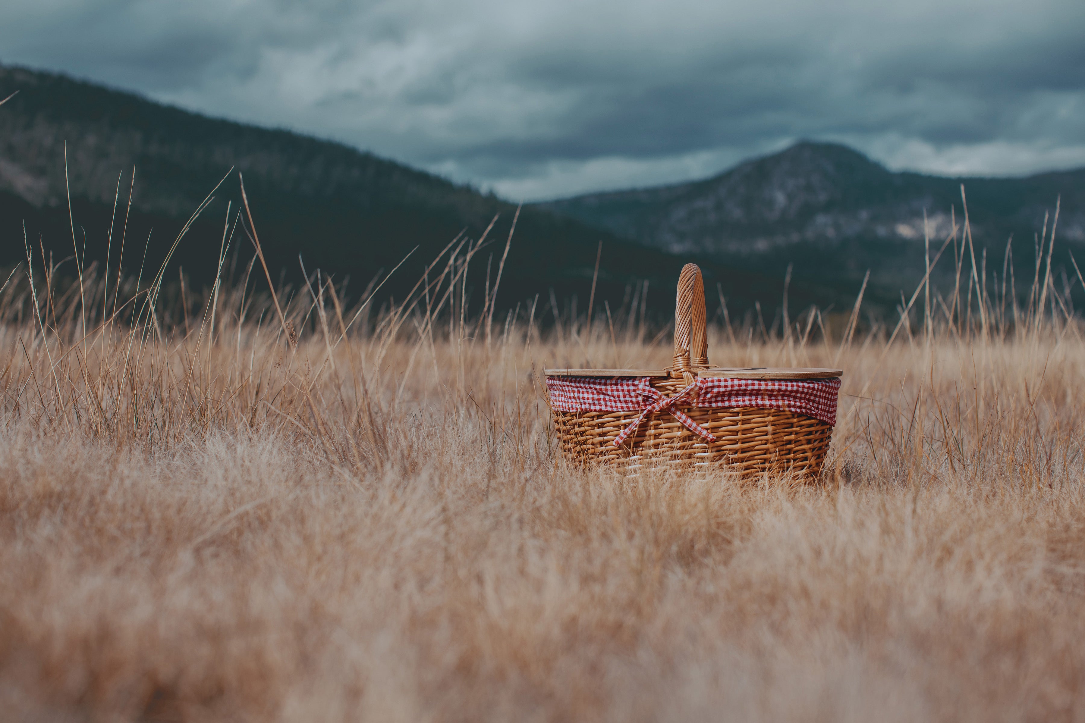 Country Picnic Basket-Picnic Time Family of Brands