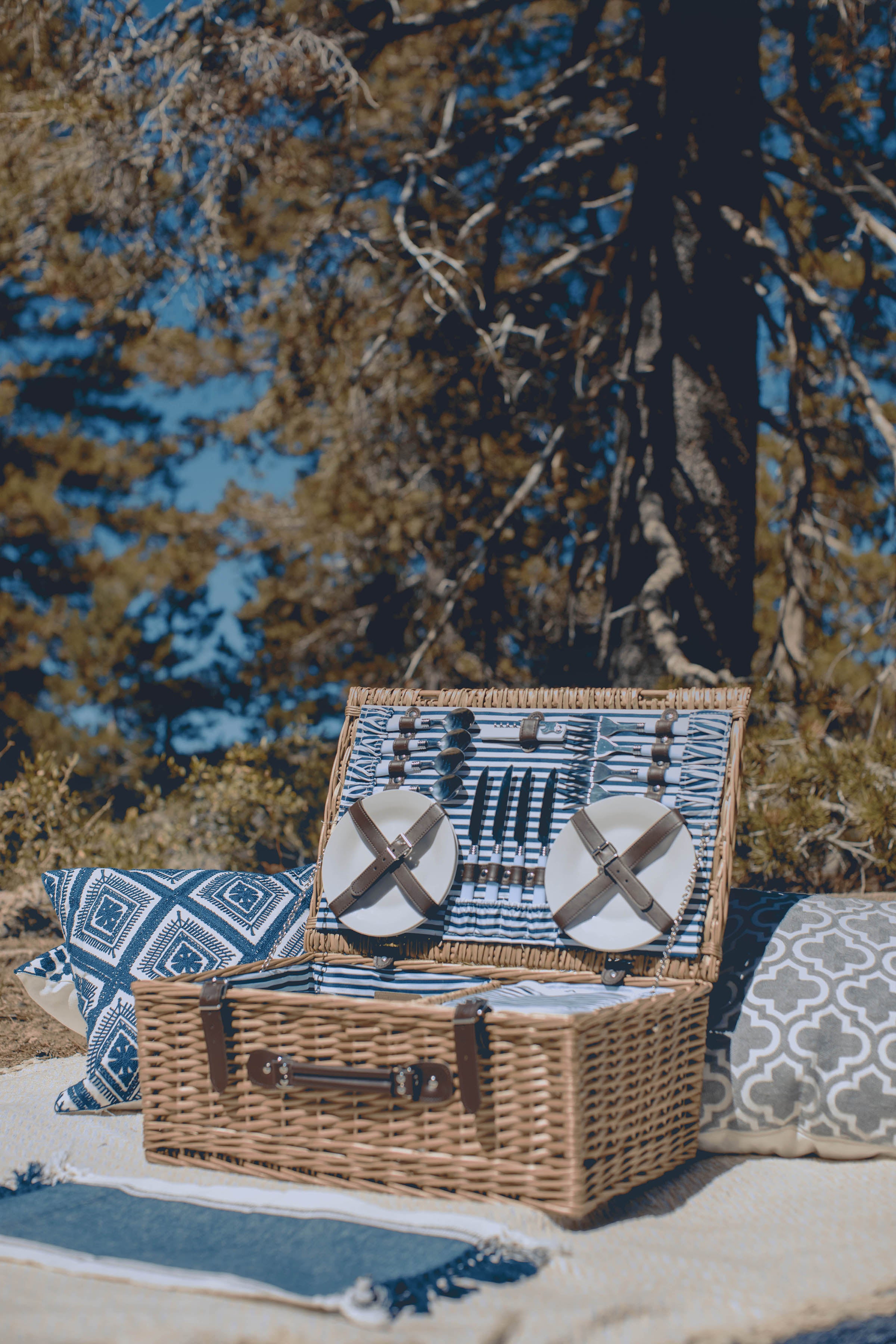Belmont Picnic Basket-Picnic Time Family of Brands