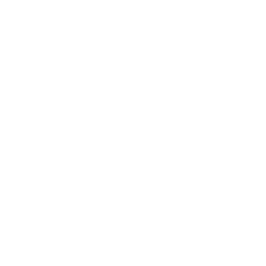 Picnic Gear Logo
